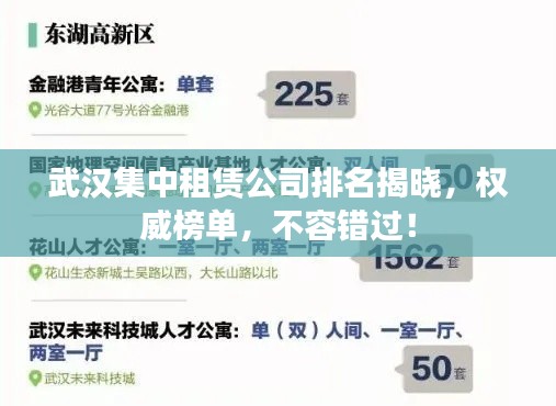 武漢集中租賃公司排名揭曉,權威榜單,不容錯過!