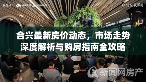 合興最新房價動態,市場走勢深度解析與購房指南全攻略