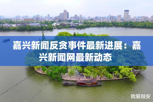 嘉興新聞反貪事件最新進展：嘉興新聞網最新動態 