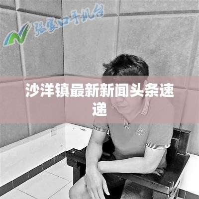 沙洋鎮最新新聞頭條速遞