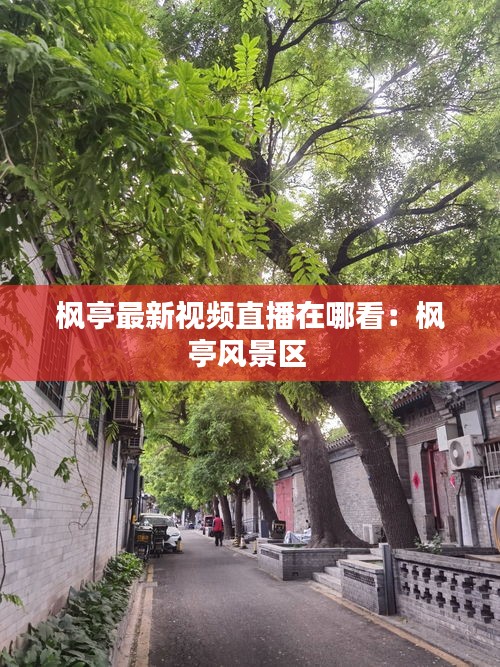 楓亭最新視頻直播在哪看:楓亭風景區(qū)