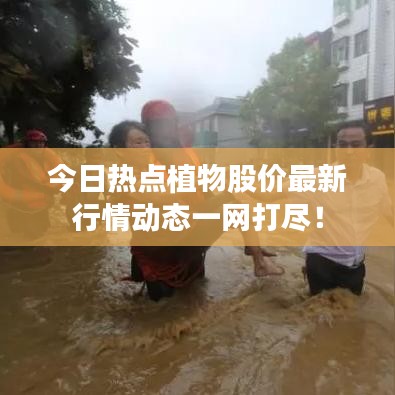 今日熱點植物股價最新行情動態一網打盡！