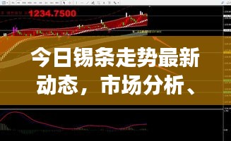 貴險賤璧 第3頁