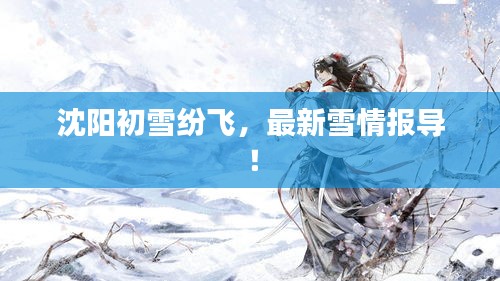 沈陽(yáng)初雪紛飛，最新雪情報(bào)導(dǎo)！