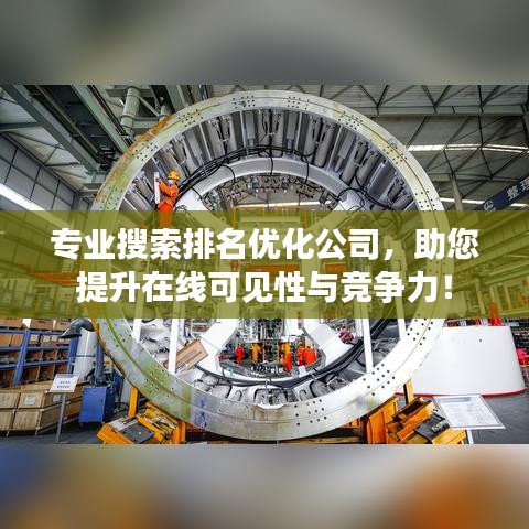 專業(yè)搜索排名優(yōu)化公司,助您提升在線可見性與競爭力!