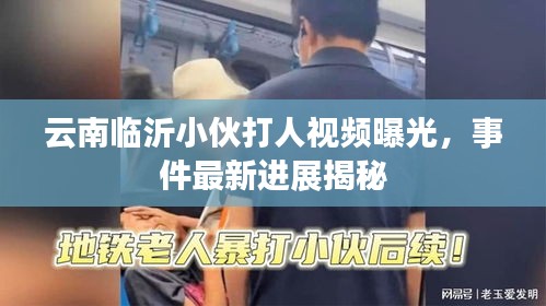 云南臨沂小伙打人視頻曝光,事件最新進展揭秘
