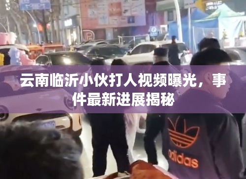 云南臨沂小伙打人視頻曝光,事件最新進展揭秘
