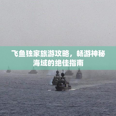 飛魚獨(dú)家旅游攻略,暢游神秘海域的絕佳指南