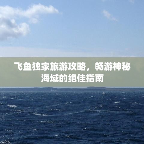 飛魚獨家旅游攻略,暢游神秘海域的絕佳指南