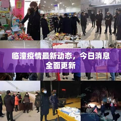 臨潼疫情最新動態,今日消息全面更新