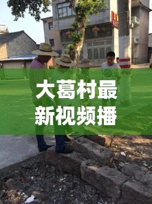 大葛村最新視頻播放:大葛埠村