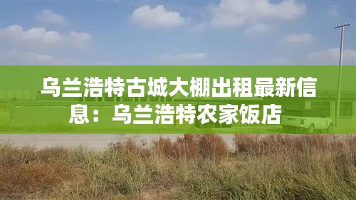 烏蘭浩特古城大棚出租最新信息:烏蘭浩特農(nóng)家飯店