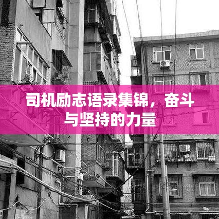 司機勵志語錄集錦,奮斗與堅持的力量