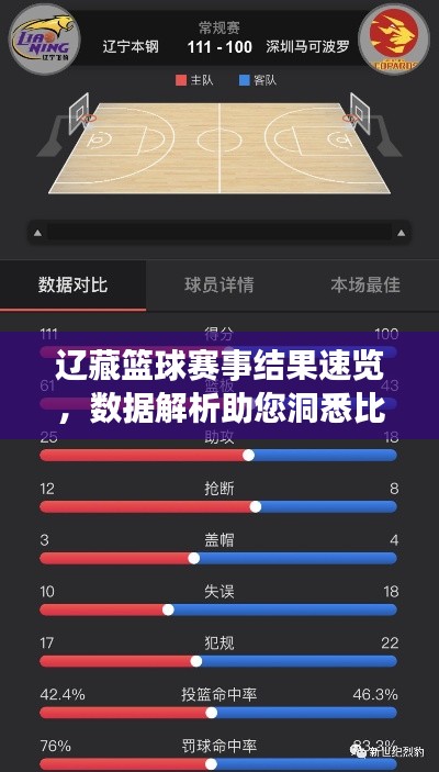 遼藏籃球賽事結(jié)果速覽,數(shù)據(jù)解析助您洞悉比賽動(dòng)態(tài)