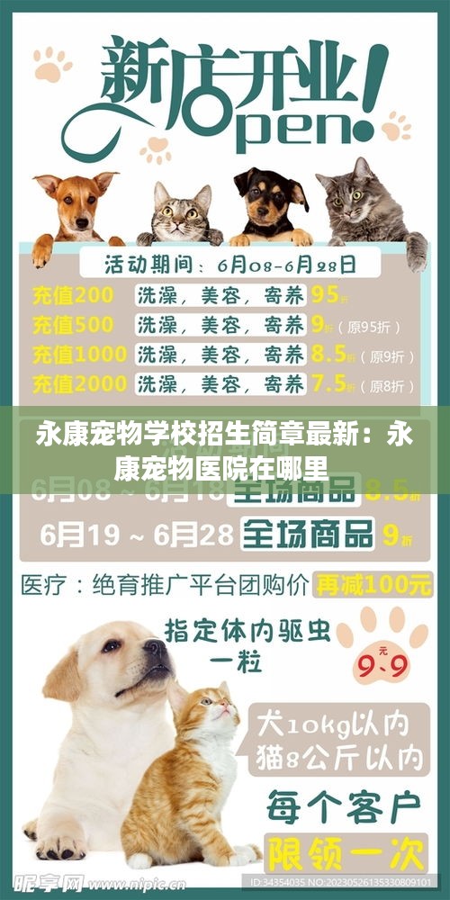 永康寵物學校招生簡章最新:永康寵物醫院在哪里