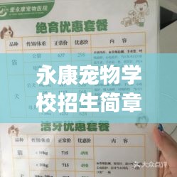 永康寵物學校招生簡章最新:永康寵物醫院在哪里
