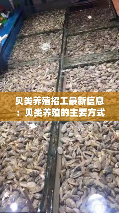 貝類養(yǎng)殖招工最新信息:貝類養(yǎng)殖的主要方式有哪些