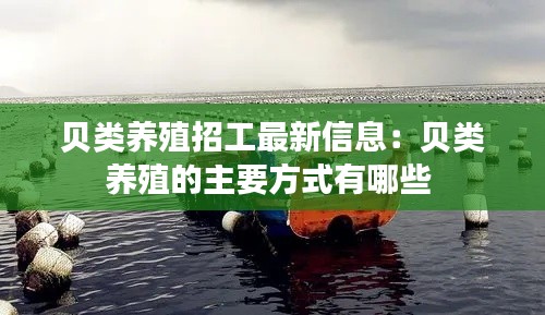貝類養殖招工最新信息:貝類養殖的主要方式有哪些