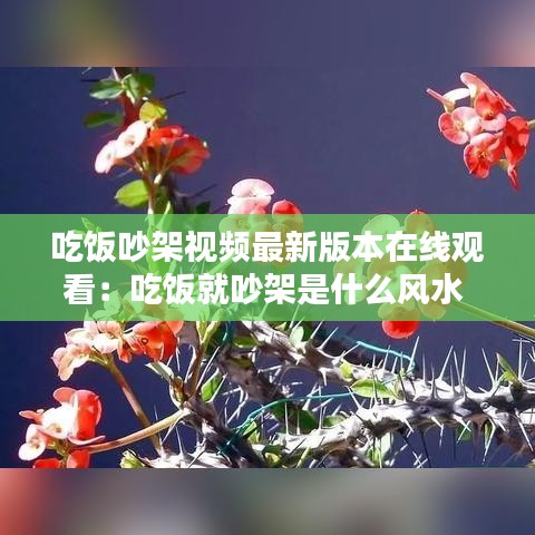 吃飯吵架視頻最新版本在線觀看：吃飯就吵架是什么風水 