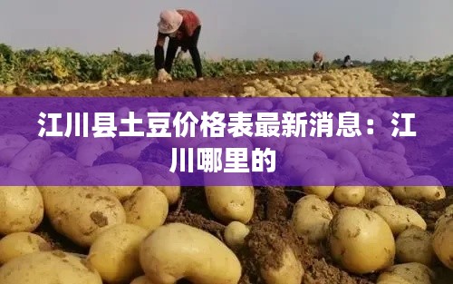 江川縣土豆價格表最新消息:江川哪里的