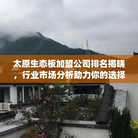 太原生態(tài)板加盟公司排名揭曉,行業(yè)市場分析助力你的選擇!