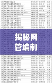 揭秘網(wǎng)管編制廠(chǎng)家排名前十強(qiáng)榜單！