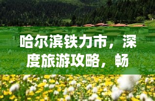 哈爾濱鐵力市，深度旅游攻略，暢游美景不容錯過！