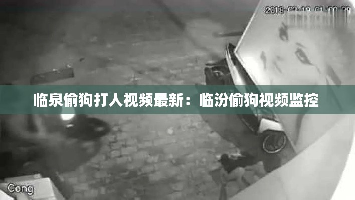 臨泉偷狗打人視頻最新:臨汾偷狗視頻監(jiān)控