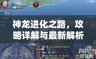 神龍進化之路,攻略詳解與最新解析