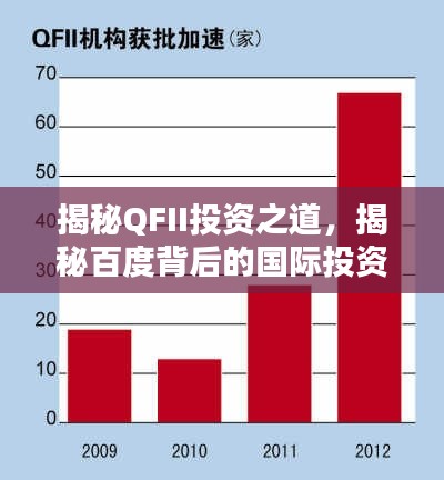 揭秘QFII投資之道,揭秘百度背后的國(guó)際投資策略解析