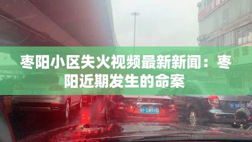 棗陽小區失火視頻最新新聞：棗陽近期發生的命案 