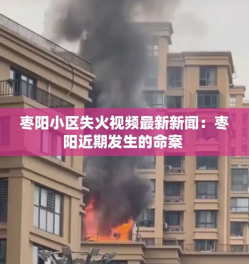 棗陽小區失火視頻最新新聞:棗陽近期發生的命案