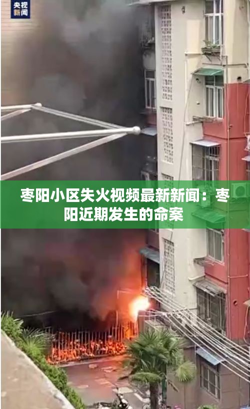 棗陽小區失火視頻最新新聞:棗陽近期發生的命案