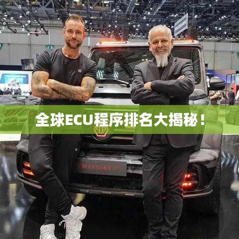 全球ECU程序排名大揭秘!