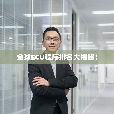 全球ECU程序排名大揭秘！