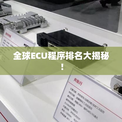 全球ECU程序排名大揭秘!