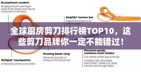 全球廚房剪刀排行榜TOP10,這些剪刀品牌你一定不能錯過!