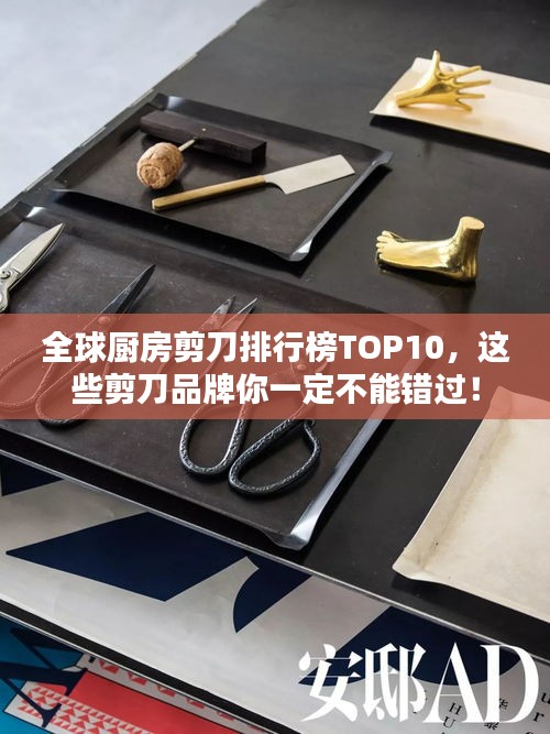 全球廚房剪刀排行榜TOP10,這些剪刀品牌你一定不能錯過!