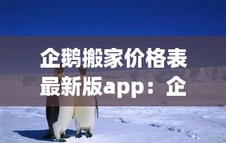 企鵝搬家價格表最新版app:企鵝大遷徙