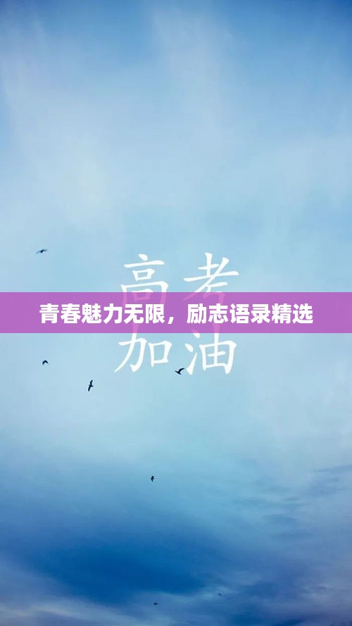 青春魅力無限,勵志語錄精選