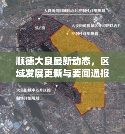 順德大良最新動態，區域發展更新與要聞通報
