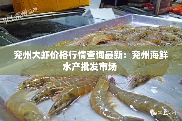 兗州大蝦價(jià)格行情查詢最新:兗州海鮮水產(chǎn)批發(fā)市場(chǎng)