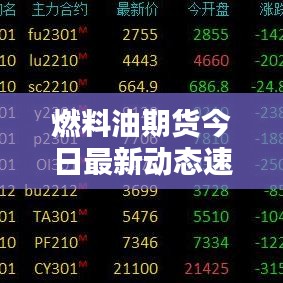 燃料油期貨今日最新動態(tài)速遞
