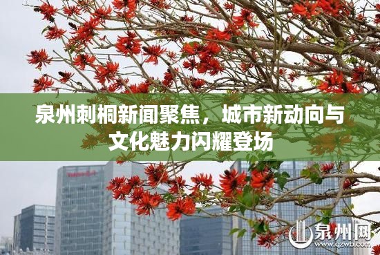 泉州刺桐新聞聚焦,城市新動(dòng)向與文化魅力閃耀登場(chǎng)