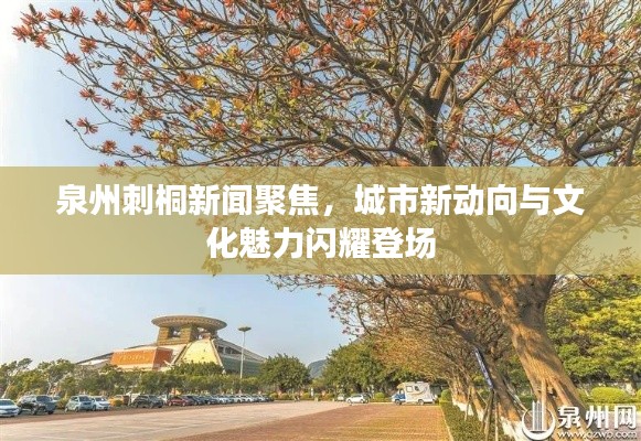 泉州刺桐新聞聚焦,城市新動(dòng)向與文化魅力閃耀登場(chǎng)