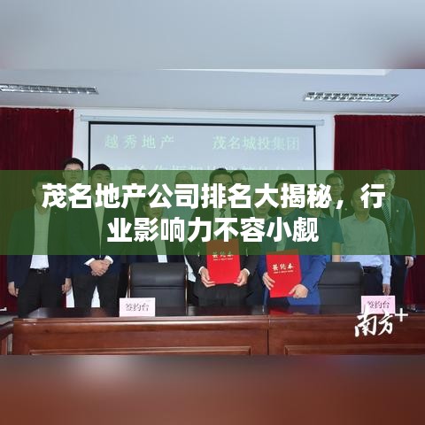 茂名地產(chǎn)公司排名大揭秘,行業(yè)影響力不容小覷