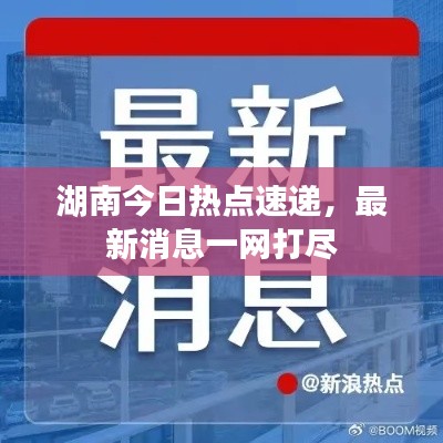 貌美如花 第3頁(yè)