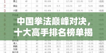 中國拳法巔峰對決,十大高手排名榜單揭曉!
