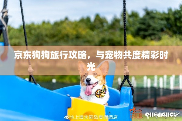 京東狗狗旅行攻略，與寵物共度精彩時光