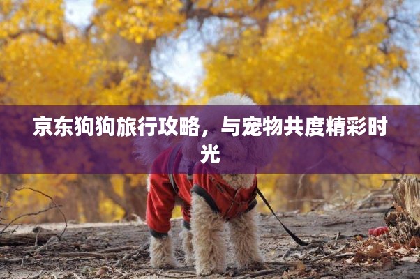 京東狗狗旅行攻略,與寵物共度精彩時光